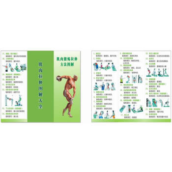 随机赠送 肌肉拉伸图解大全 折叠页 赠品 非卖品 pdf epub mobi 下载