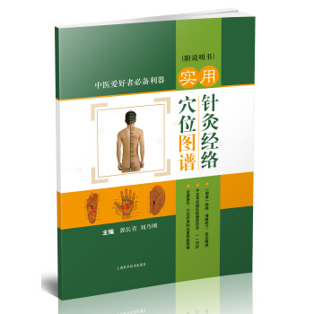 实用针灸经络穴位图谱（附说明书） pdf epub mobi 下载