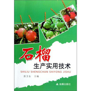 石榴生产实用技术 pdf epub mobi 下载