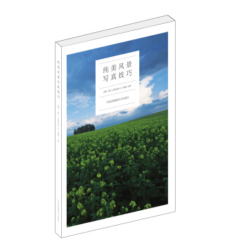 纯美风景写真技巧 pdf epub mobi 下载