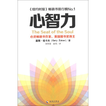 心智力 [The Seat of the Soul] pdf epub mobi 下载