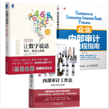 正版包郵 讓數字說話 審計,就這麼簡單+內部審計工作法+企業內部審計全流程指南 3本 pdf epub mobi 下载