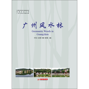 广州风水林 pdf epub mobi 下载