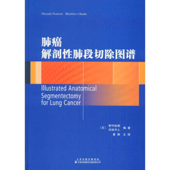 肺癌解剖性肺段切除图谱 pdf epub mobi 下载
