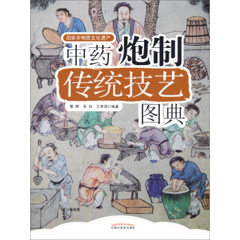 國傢非物質文化遺産：中藥炮製技藝圖典 pdf epub mobi 下载