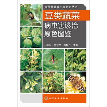 现代蔬菜病虫害防治丛书:豆类蔬菜病虫害诊治原色图鉴