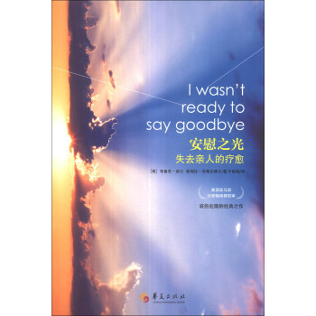 安慰之光：失去亲人的疗愈 [I Wasn't Ready to Say Goodbye] pdf epub mobi 下载