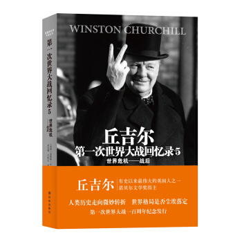 世界大战丛书·丘吉尔第一次世界大战回忆录5：世界危机战后 pdf epub mobi 下载