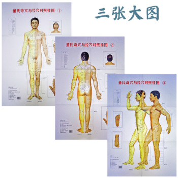 董氏奇穴与经穴对照挂图 pdf epub mobi 下载