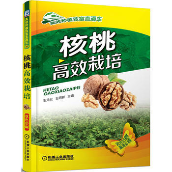 核桃高效栽培(高效种植致富直通车) 王天元,王昭 pdf epub mobi 下载