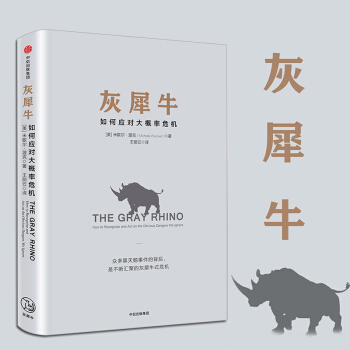 灰犀牛：如何应对大概率危机 正版图书 pdf epub mobi 电子书 下载