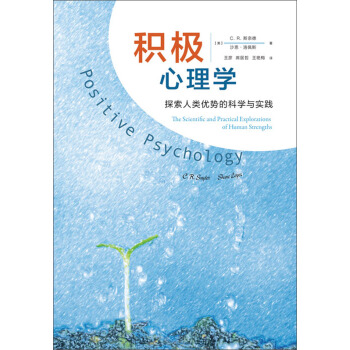 积极心理学：探索人类优势的科学与实践 pdf epub mobi 下载