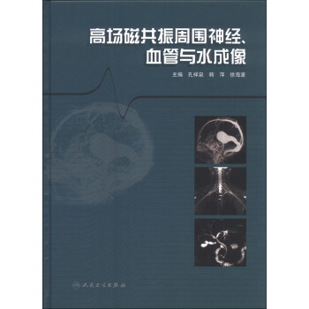 高場磁共振周圍神經、血管與水成像 pdf epub mobi 下载