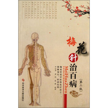 梅花针治百病（第2版） pdf epub mobi 下载