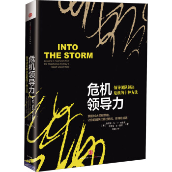 危机领导力：领导团队解决危机的十种方法 pdf epub mobi 下载