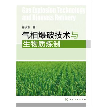 氣相爆破技術與生物質煉製 pdf epub mobi 下载