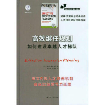 高效繼任規劃：如何建設卓越人纔梯隊 pdf epub mobi 下载