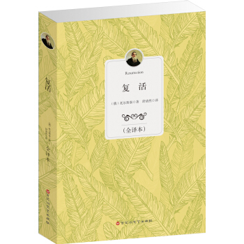 复活（全译本） pdf epub mobi 下载