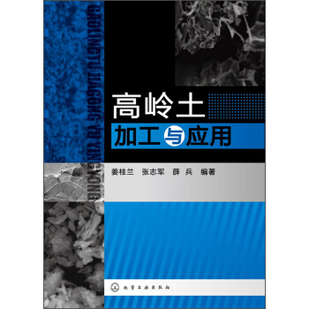 高嶺土加工與應用 pdf epub mobi 電子書 下載