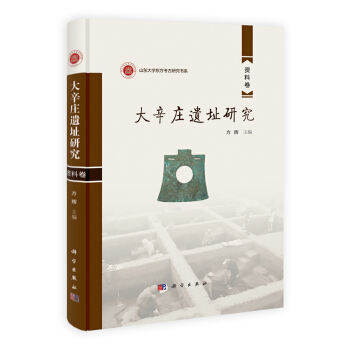 山东大学东方考古研究书系：大辛庄遗址研究（研究卷·资料卷）（套装共2册） pdf epub mobi 下载