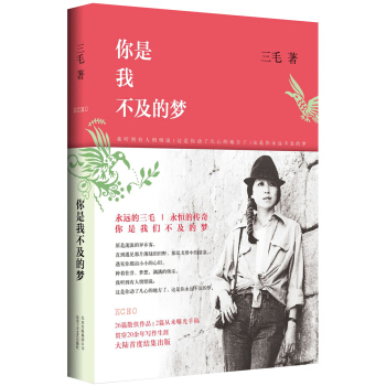 你是我不及的梦 pdf epub mobi 下载