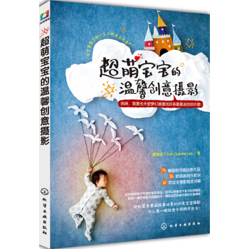 超萌宝宝的温馨创意摄影 pdf epub mobi 下载