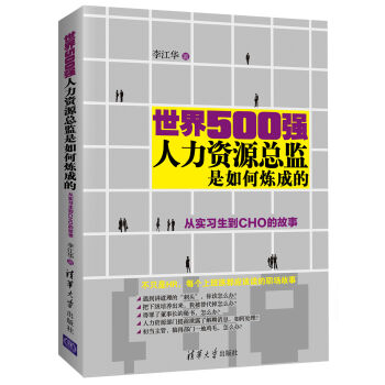世界500强人力资源总监是如何炼成的 从实习生到CHO的故事 pdf epub mobi 下载