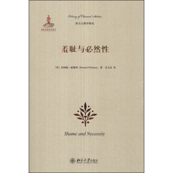 羞耻与必然性 pdf epub mobi 下载