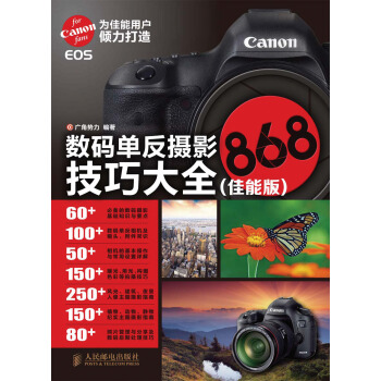 數碼單反攝影技巧大全868（尼康版） pdf epub mobi 電子書 下載