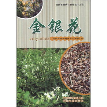 云南名特药材种植技术丛书：金银花 pdf epub mobi 下载