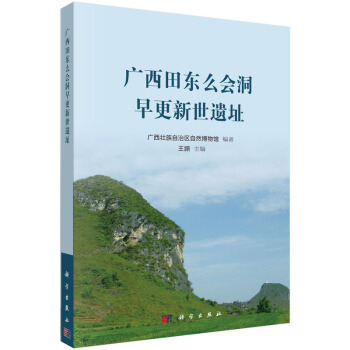 广西田东么会洞早更新世遗址 pdf epub mobi 下载