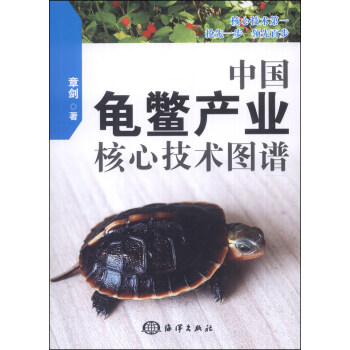 中国龟鳖产业核心技术图谱 pdf epub mobi 下载