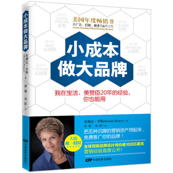 小成本做大品牌：我在宝洁、美赞臣20年的经验，你也能用 pdf epub mobi 下载