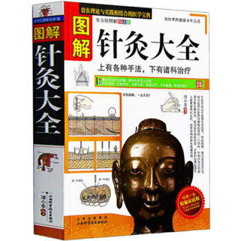 图解针灸大全 白话版 针灸与经络穴位 图书 中医养生书籍 pdf epub mobi 下载