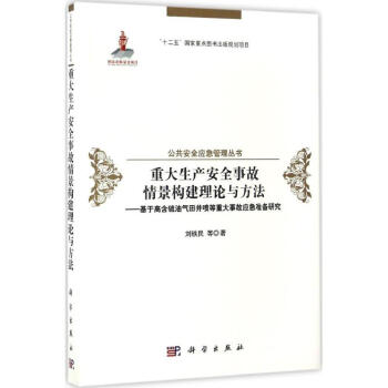 重大生産安全事故情景構建理論與方法 pdf epub mobi 下载