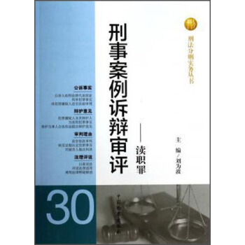 刑法分则实务丛书·刑事案例诉辩审评：渎职罪 pdf epub mobi 下载