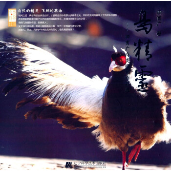 鳥精靈：田育廣鳥類攝影作品選 pdf epub mobi 電子書 下載