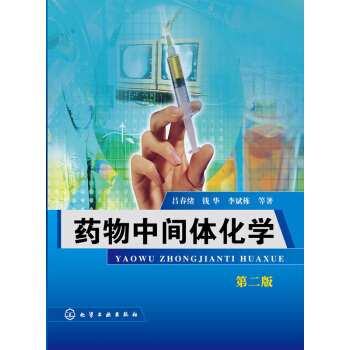 藥物中間體化學（第二版） pdf epub mobi 下载