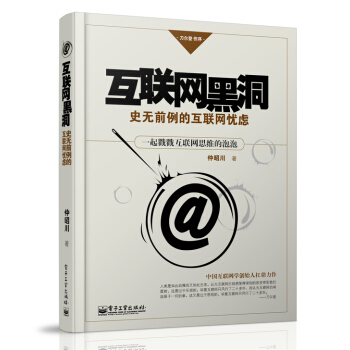 互联网黑洞：史无前例的互联网忧虑 pdf epub mobi 下载