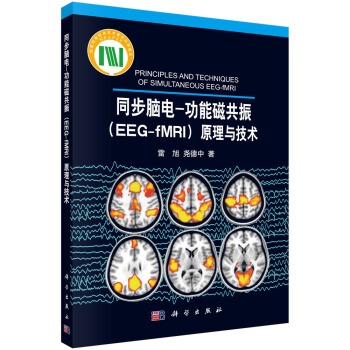 同步脑电：功能磁共振（EEG-fMRI）原理与技术 pdf epub mobi 下载