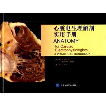 心脏电生理解剖实用手册 pdf epub mobi 下载