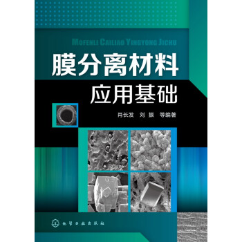 膜分离材料应用基础 pdf epub mobi 下载