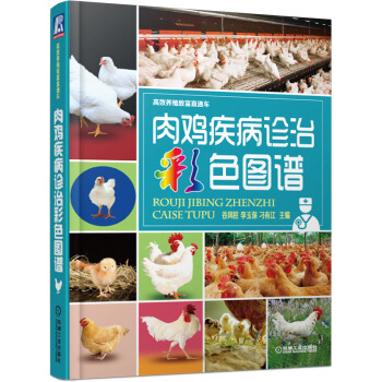 高效养殖致富直通车：肉鸡疾病诊治彩色图谱 pdf epub mobi 下载