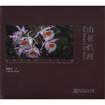 山花烂漫 pdf epub mobi 下载