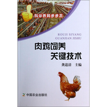 肉鸡饲养关键技术