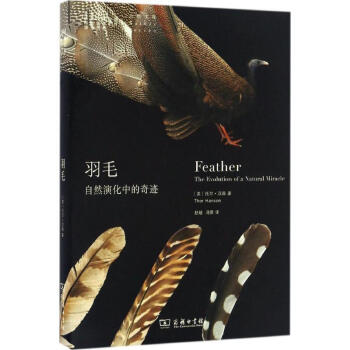 羽毛