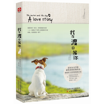 我在渡口等你 pdf epub mobi 下载