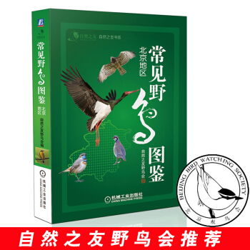 常见野鸟图鉴 北京地区