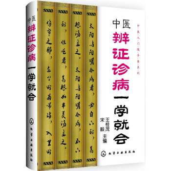 中医辨证诊病一学就会 pdf epub mobi 下载