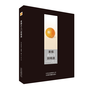 素描从入门到精通 pdf epub mobi 下载